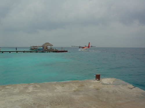 DSC04071